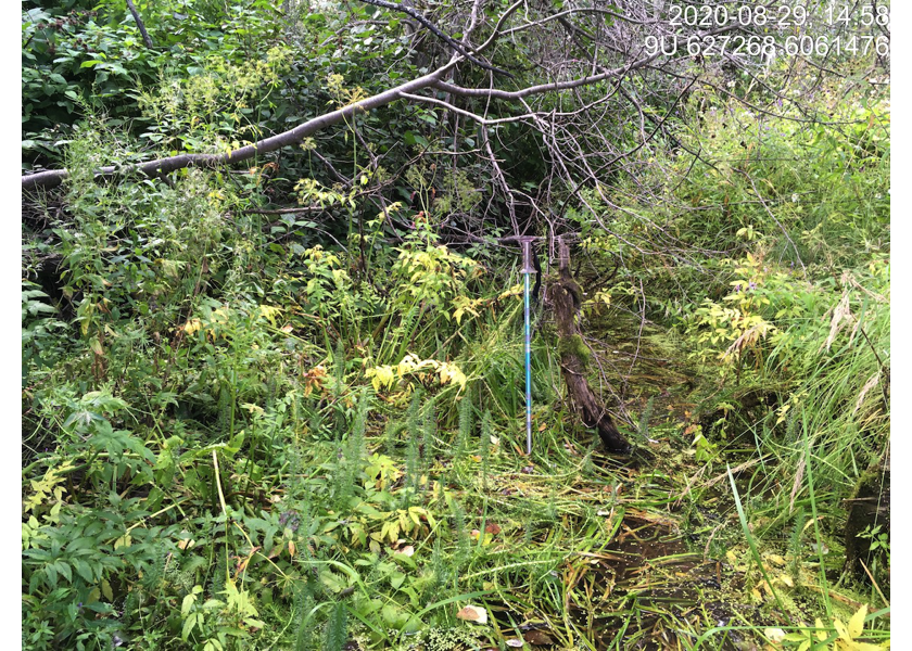 Habitat upstream of PSCIS crossing 123445.