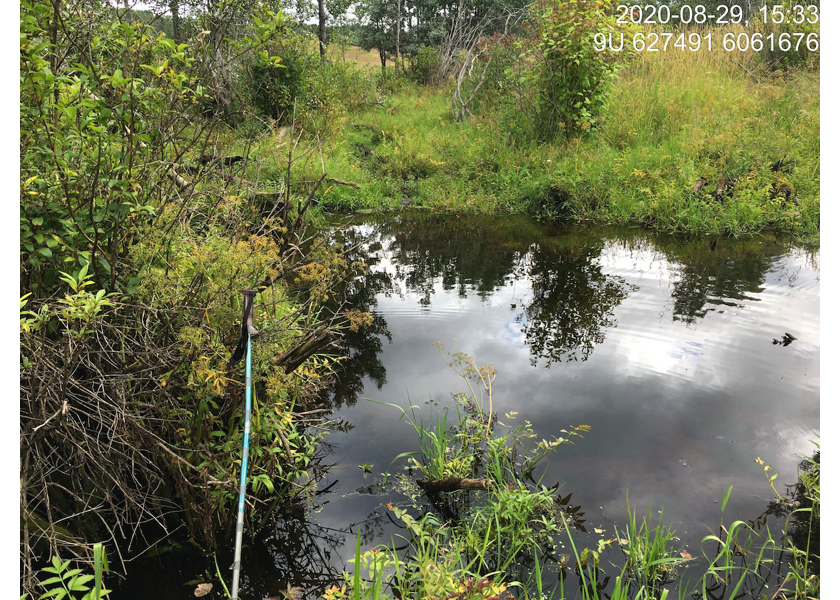 Habitat upstream of PSCIS crossing 123445.