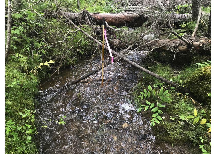 Habitat downstream of PSCIS crossing 123794.