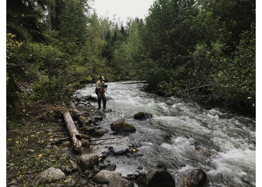 habitat upstream of PSCIS crossing 124487.