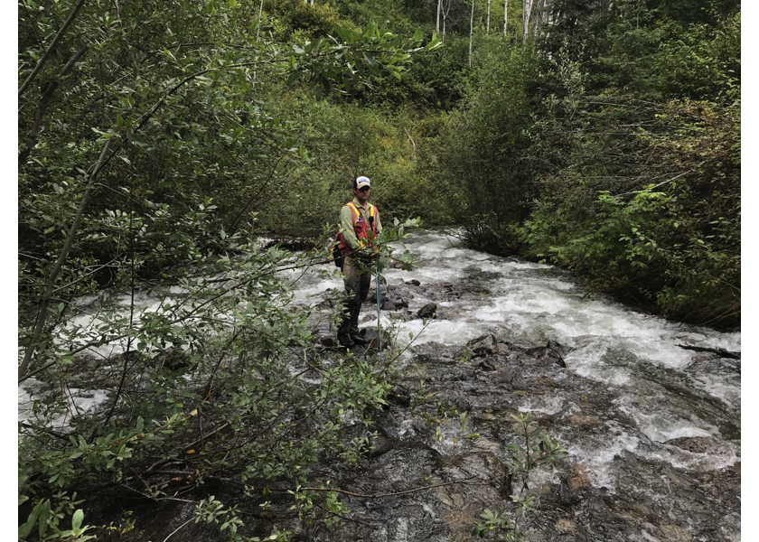 Habitat upstream of PSCIS crossing 124487.