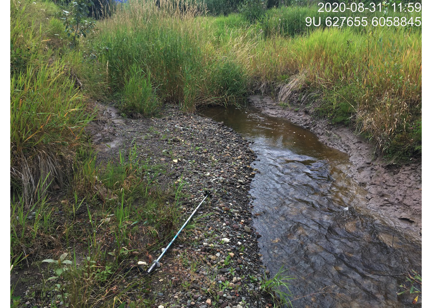 Habitat downstream of PSCIS crossing 124500.