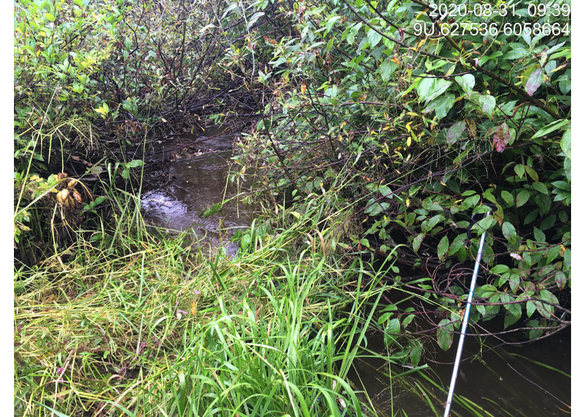 Habitat upstream of PSCIS crossing 124500.