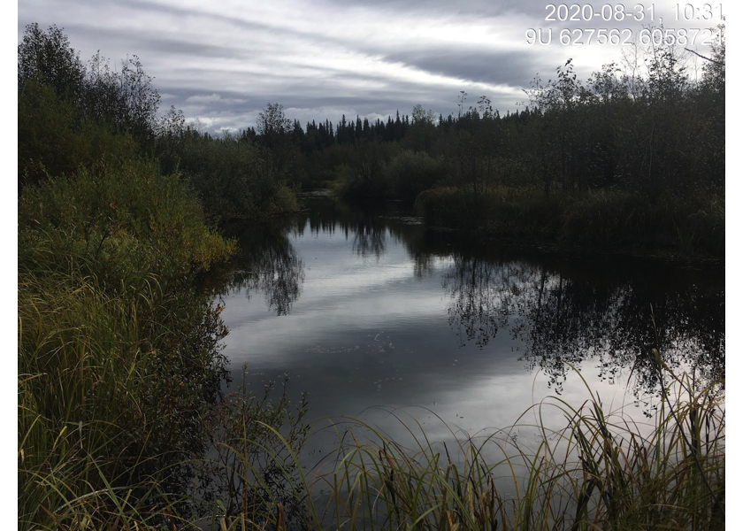 Habitat upstream of PSCIS crossing 124500.