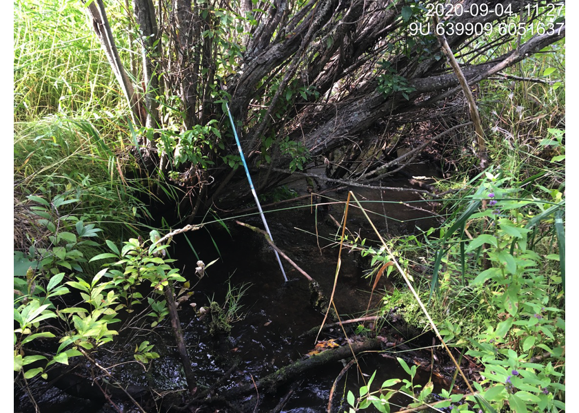 Typical habitat downstream of PSCIS crossing 195290.