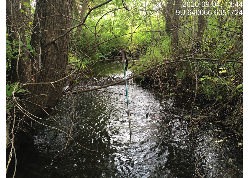 Typical habitat upstream of PSCIS crossing 195290.