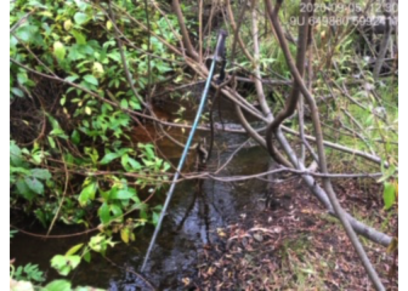Typical habitat downstream of PSCIS crossing 197360 in 2020.