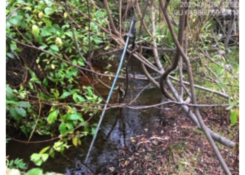 Typical habitat downstream of PSCIS crossing 197360.