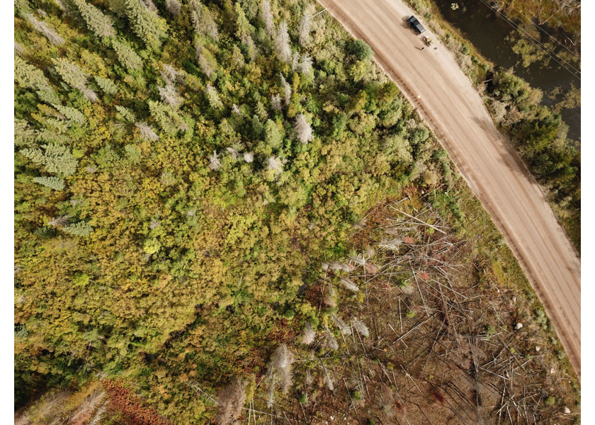 Aerial view of typical habitat downstream of PSCIS crossing 197360 in 2020.