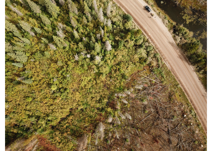 Aerial view of typical habitat downstream of PSCIS crossing 197360.