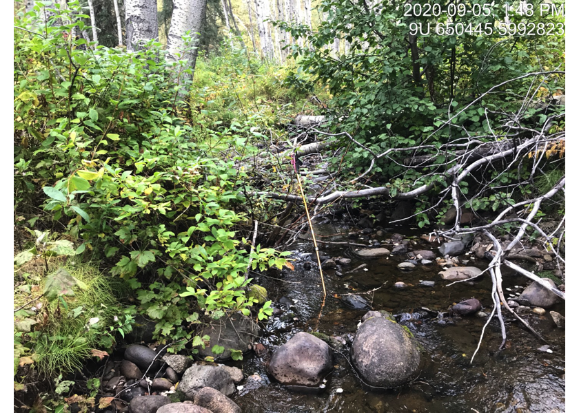 Typical habitat upstream of PSCIS crossing 197360.