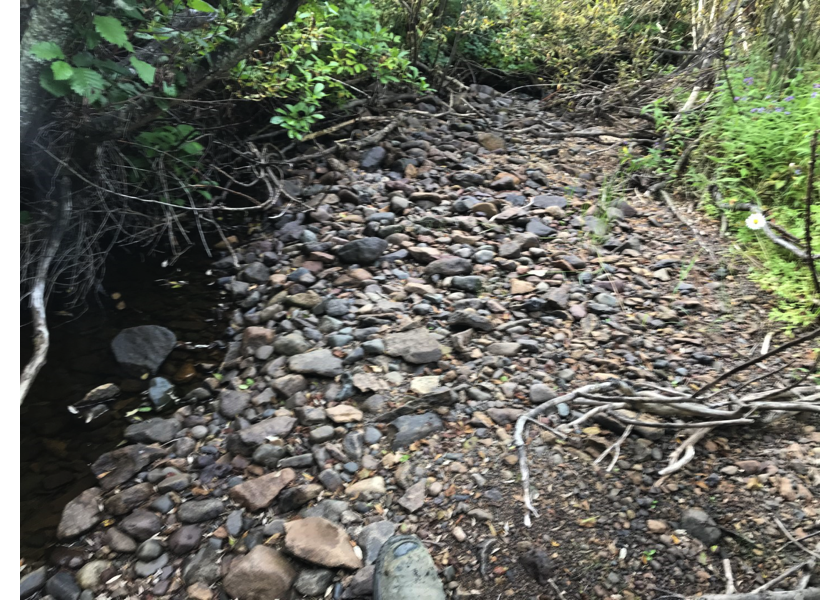 Habitat downstream of PSCIS crossing 197640.