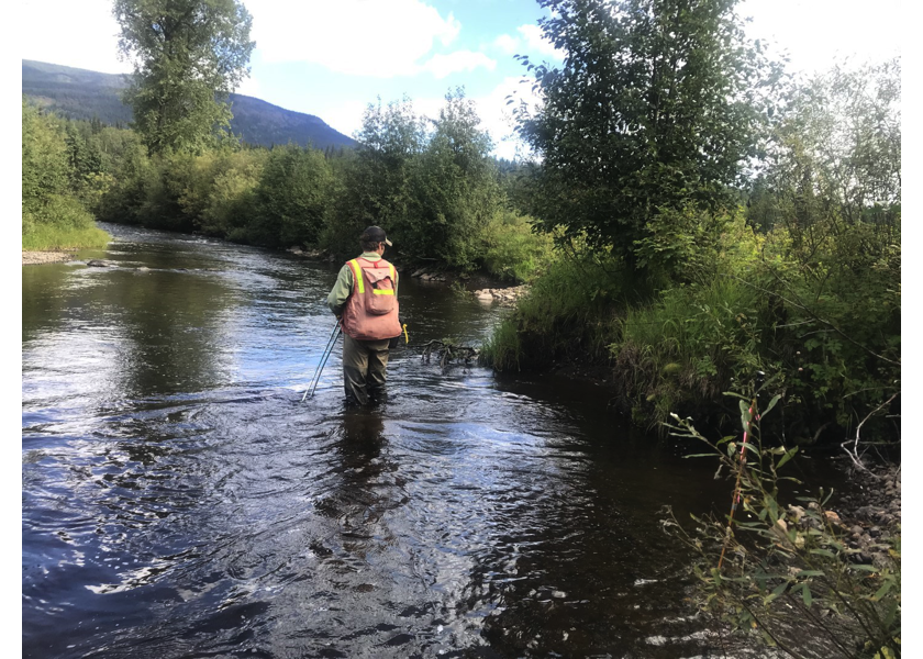 Habitat downstream of crossing 197640 at the confluence with Buck Creek.