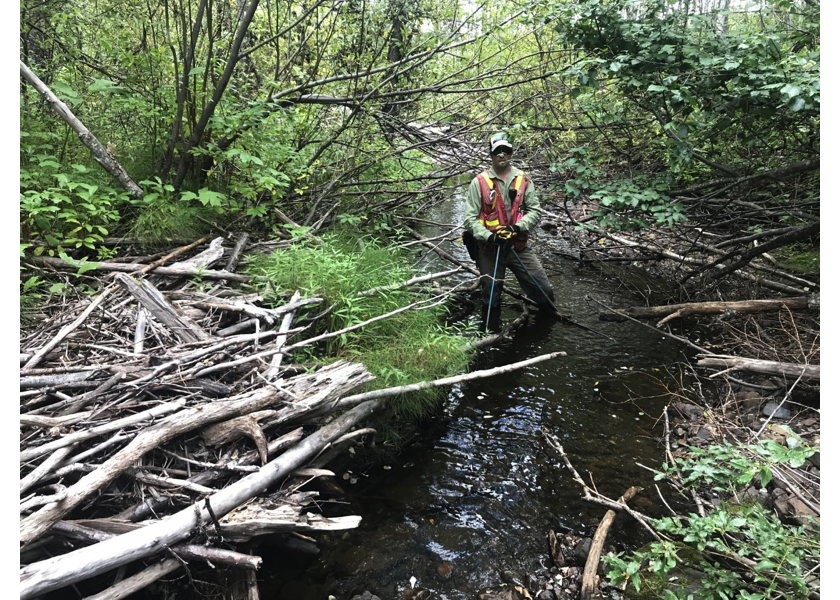 Habitat upstream of PSCIS crossing 197640.