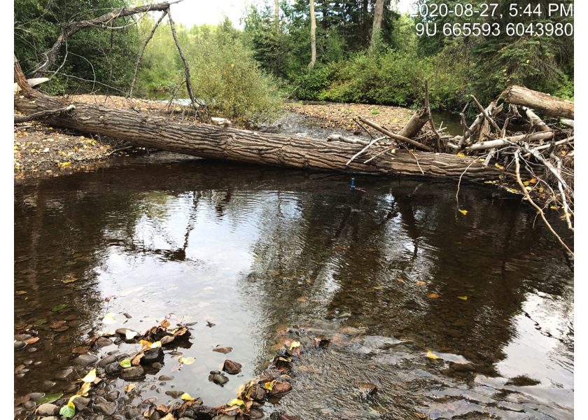 Typical habitat downstream of crossing 197658 below the railway bridge and adjacent to the Bulkley River mainstem.