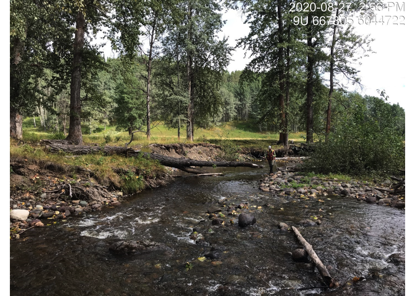 habitat upstream of PSCIS crossing 197658.