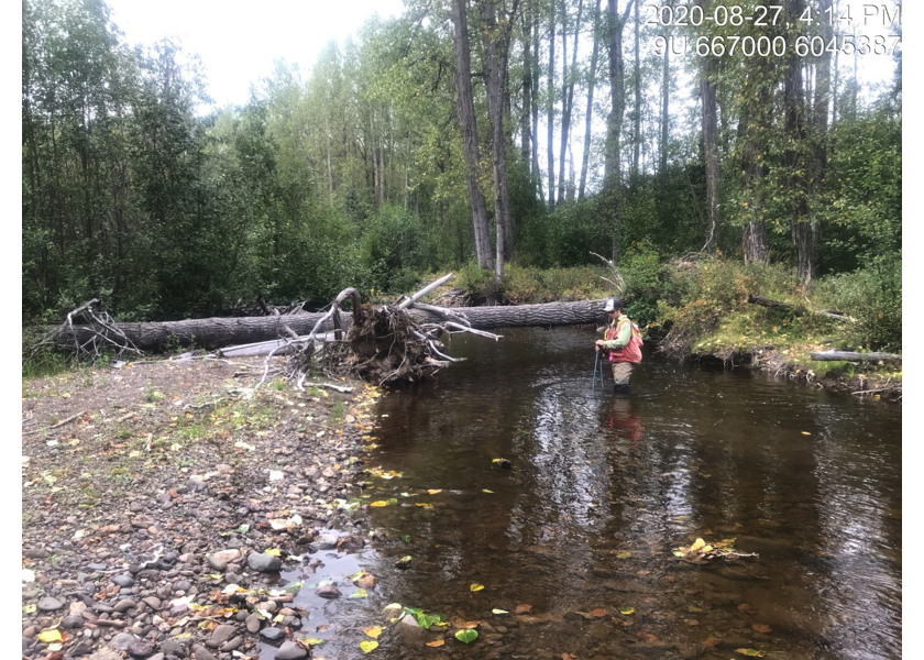 Habitat upstream of PSCIS crossing 197658.