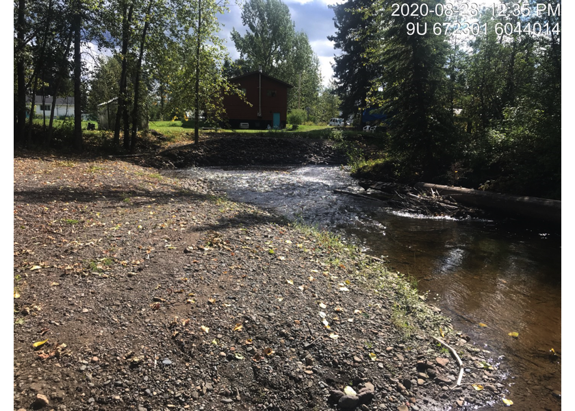 Typical habitat downstream of PSCIS crossing 197662.