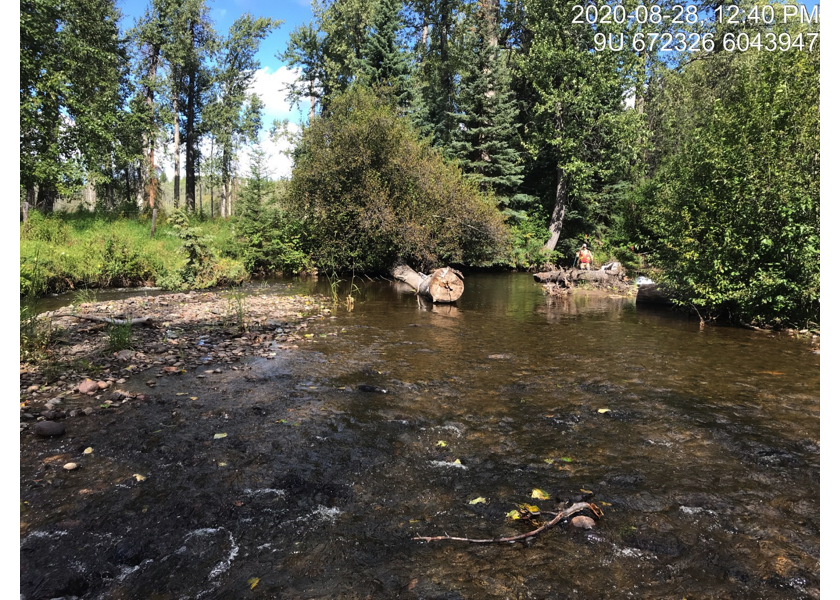 Typical habitat downstream of PSCIS crossing 197662.