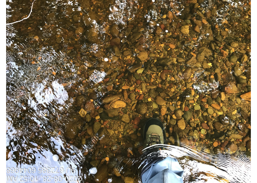 Gravel and cobble substrate upstream of PSCIS crossing 197662.