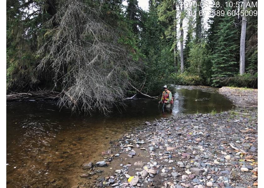 Typical habitat upstream of PSCIS crossing 197662.