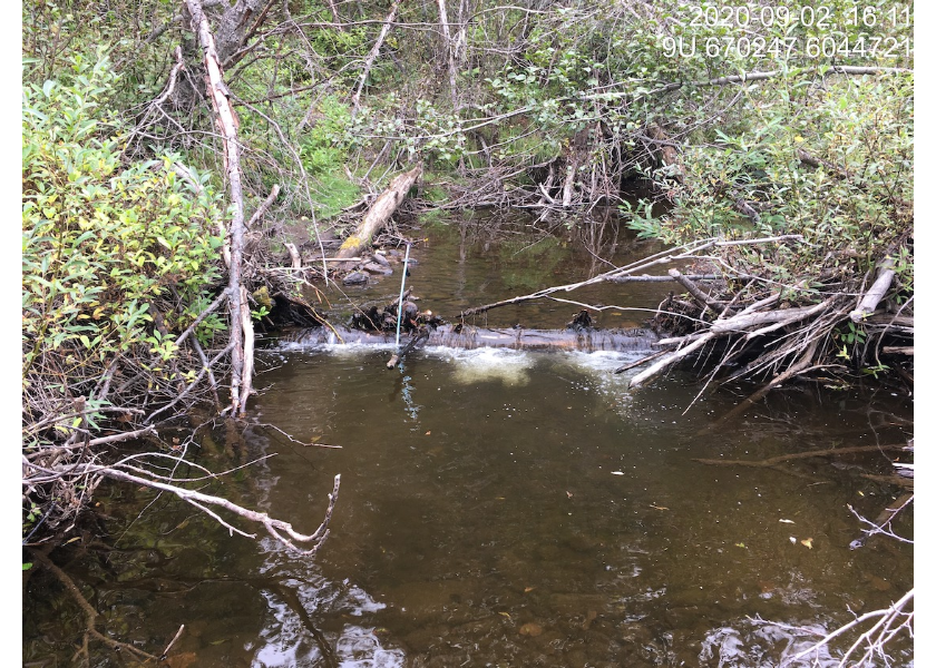 Typical habitat downstream of PSCIS crossing 197663.
