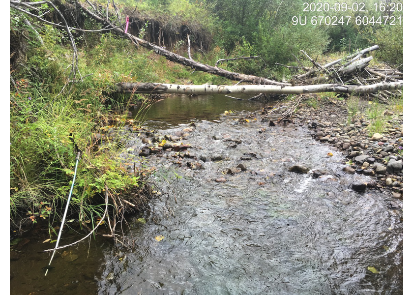 Typical habitat downstream of PSCIS crossing 197663.