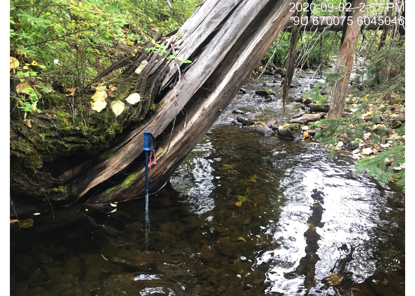 Habitat upstream of PSCIS crossing 197663.