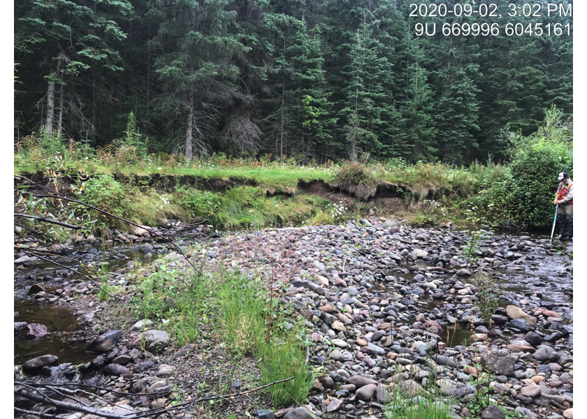 Habitat upstream of PSCIS crossing 197663.