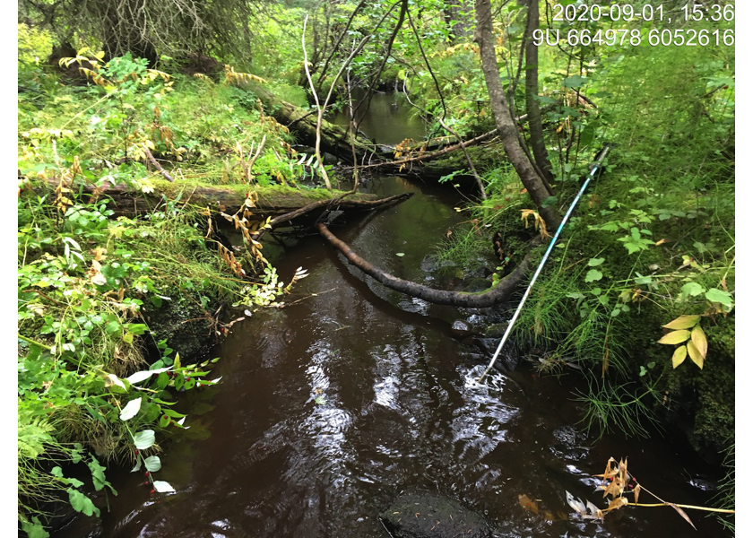 Habitat downstream of PSCIS crossing 3054.