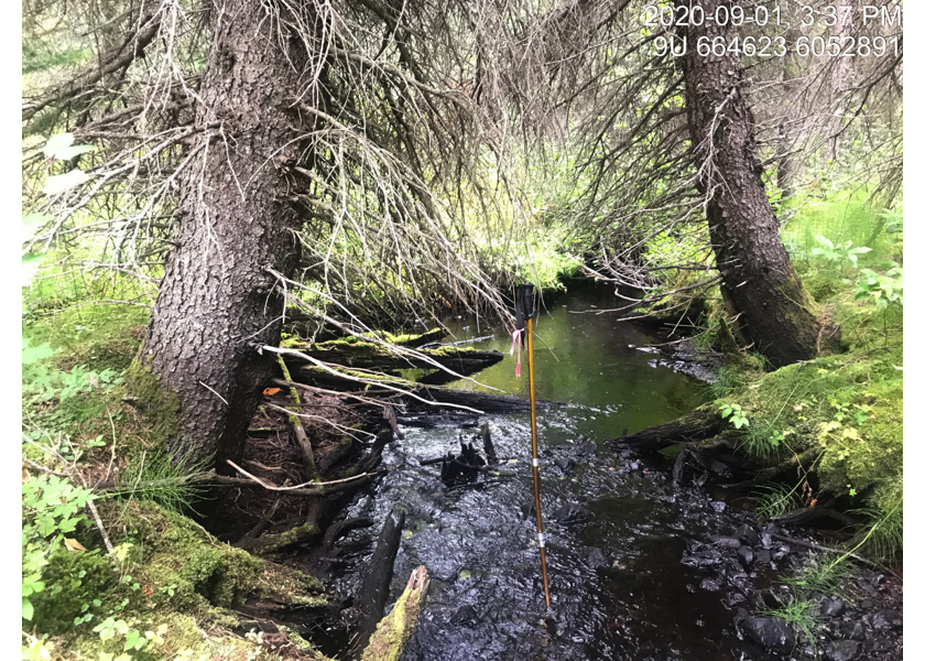 Habitat upstream of PSCIS crossing 197663.