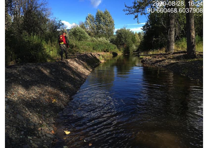 Typical habitat downstream of PSCIS crossing 197664.