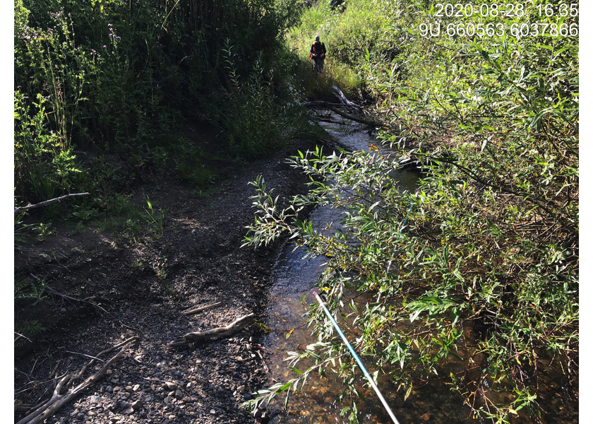 Typical habitat downstream of PSCIS crossing 197664.