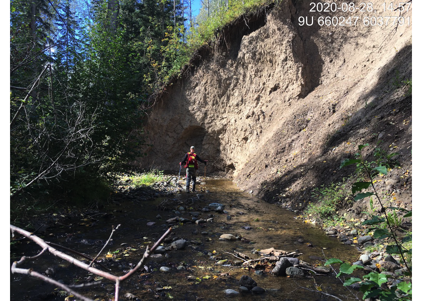 Habitat upstream of PSCIS crossing 197664 and location of cutslope.