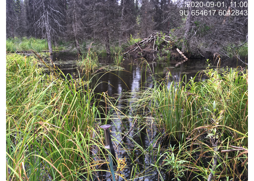 Habitat downstream of PSCIS crossing 3042.