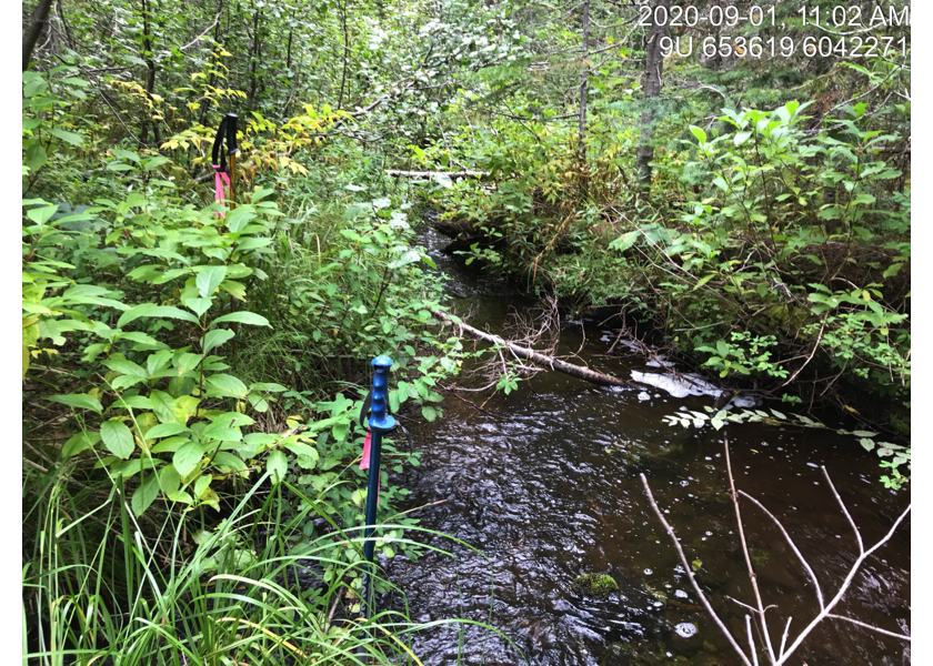 Habitat upstream of PSCIS crossing 3042.