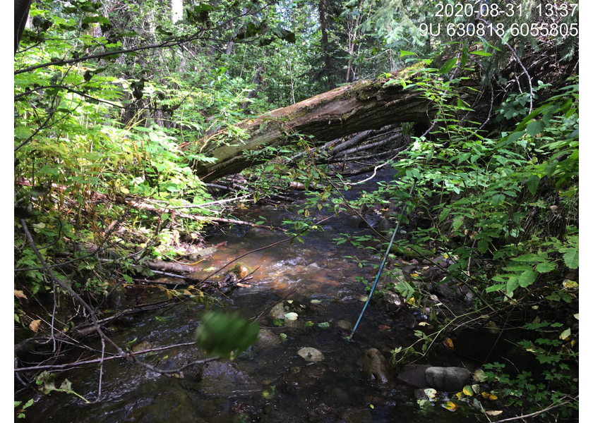 Typical habitat upstream of PSCIS crossing 197667.