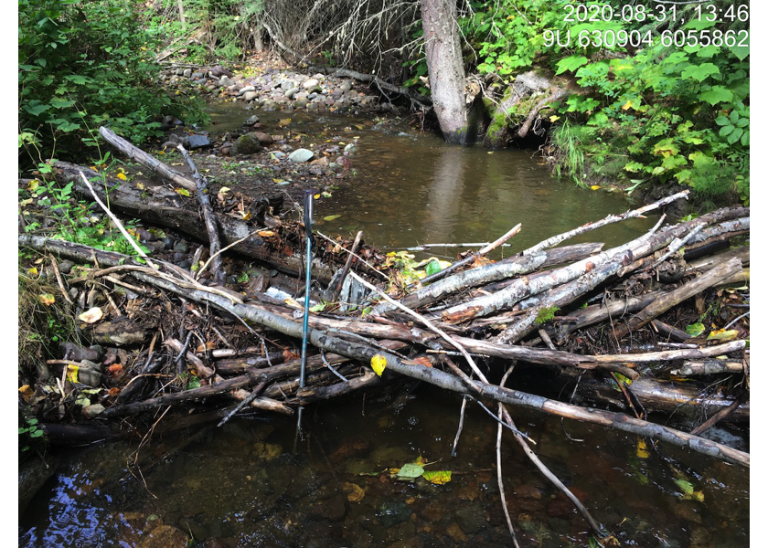 Typical habitat upstream of PSCIS crossing 197667.