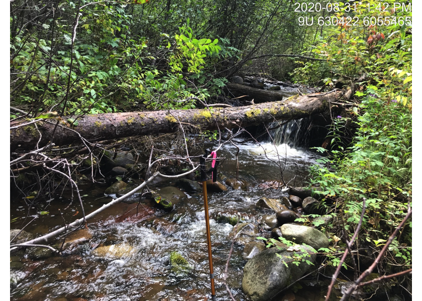 Habitat upstream of PSCIS crossing 124501.