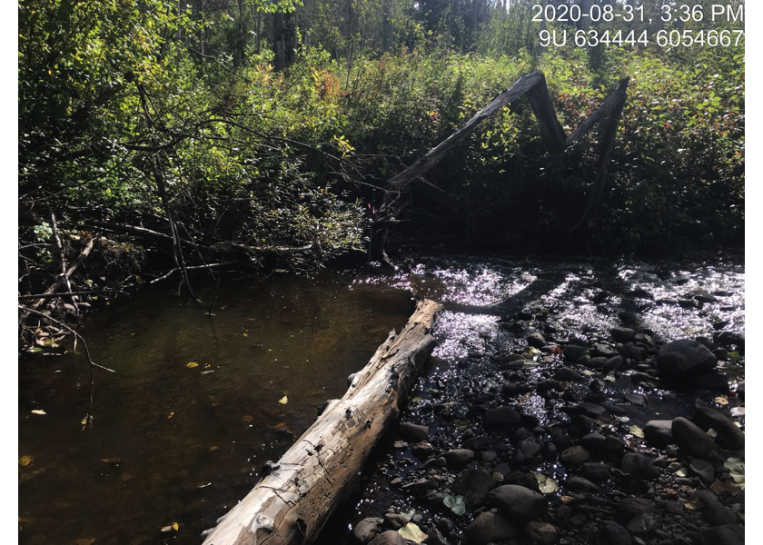 Typical habitat downstream of PSCIS crossing 197668.