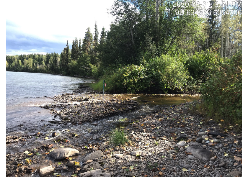 Coffin Creek downstream of PSCIS crossing 197668 at confluence with the Bulkley River.