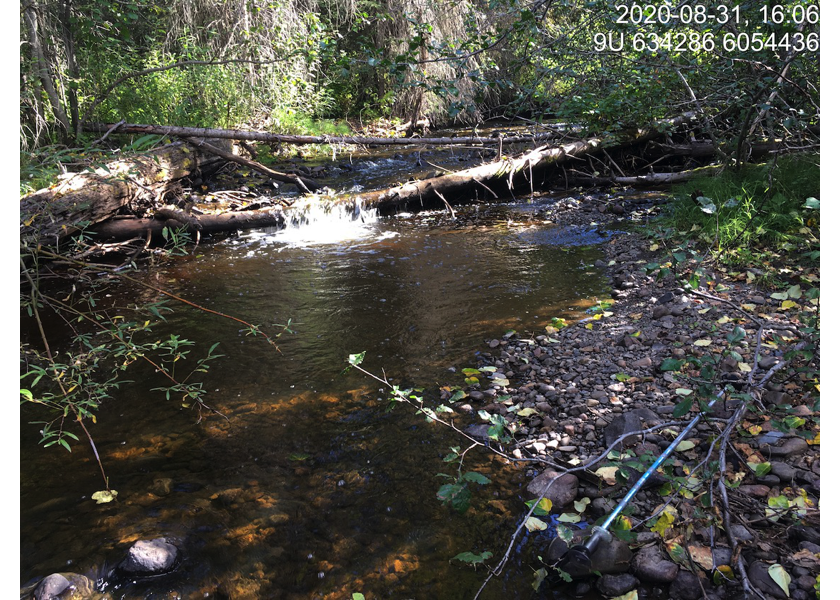 Habitat upstream of PSCIS crossing 124504.