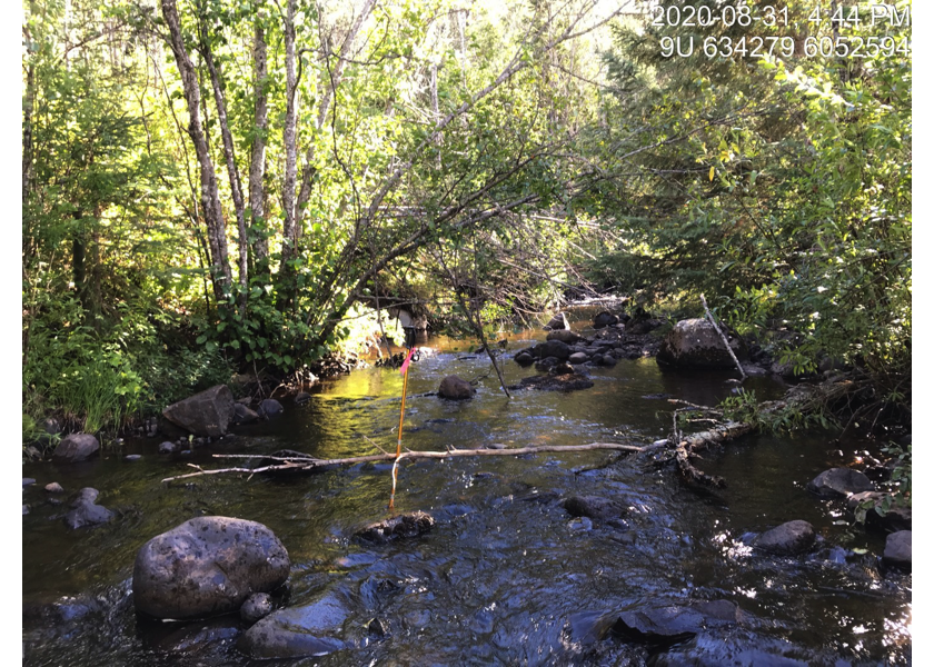 Habitat 2.1km upstream of PSCIS crossing 124504.