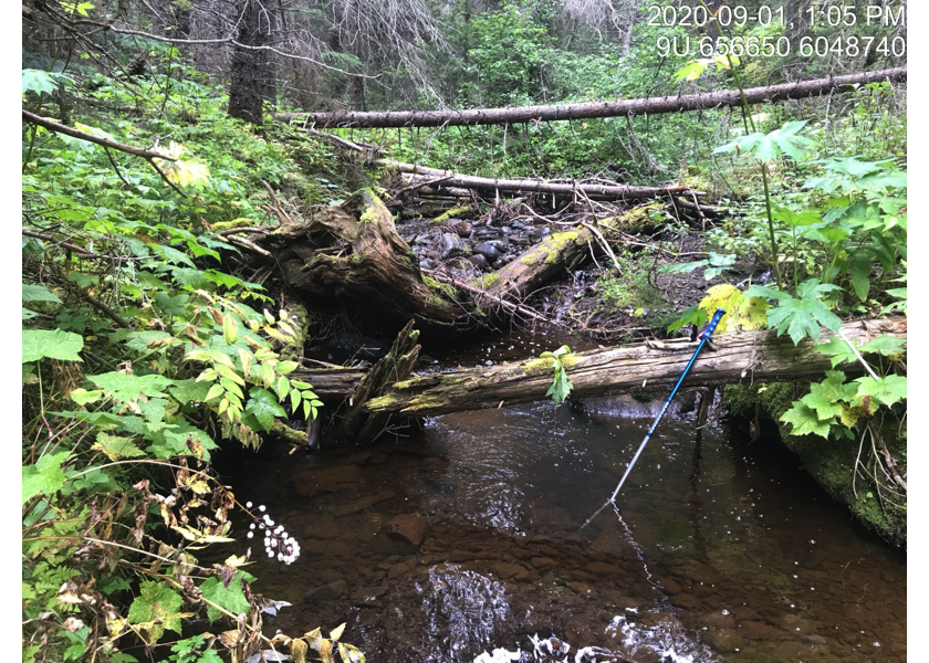 Habitat upstream of PSCIS crossing 3139.