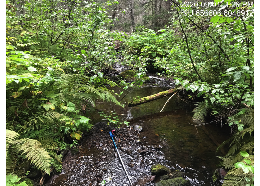 Habitat upstream of PSCIS crossing 3139.