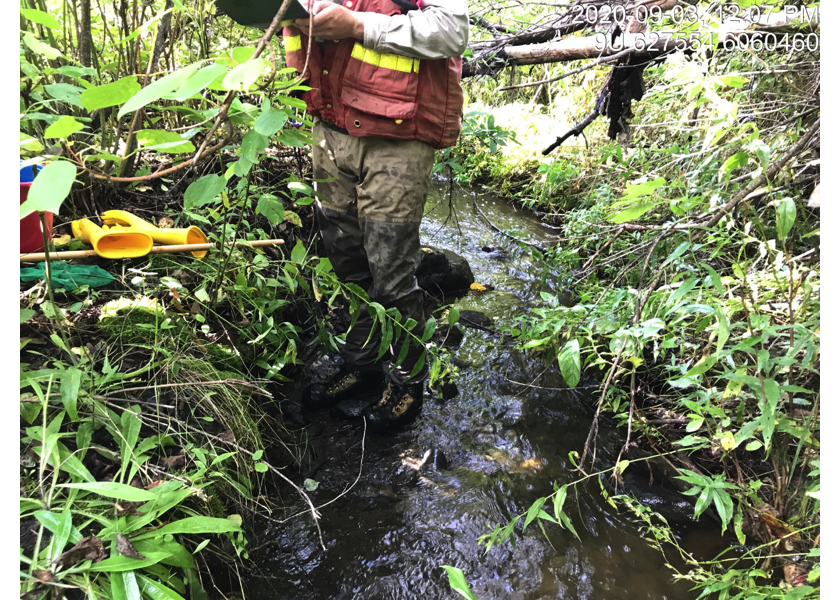 Typical habitat downstream of PSCIS crossing 58159.