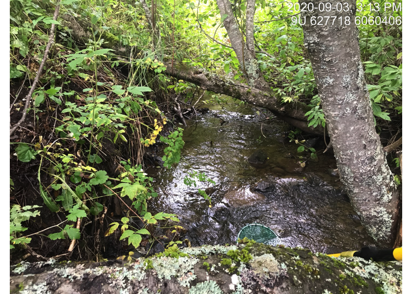 Typical habitat upstream of PSCIS crossing 58159.