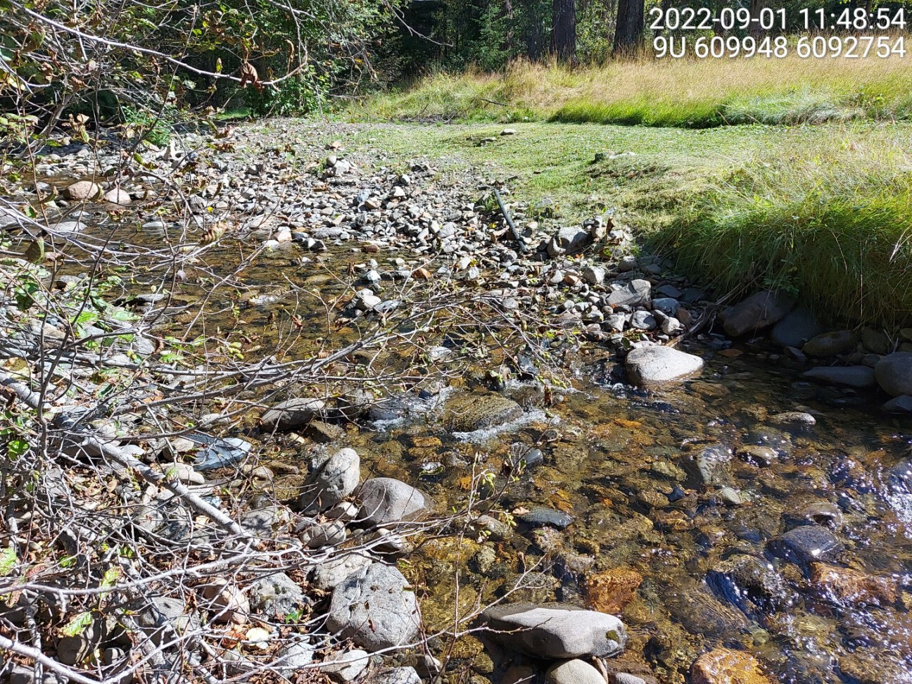 Canyon with 1.5m high rock outcrop located ~600m upstream from the confluence with the Bulkley River.