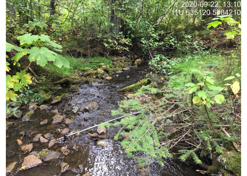 Typical habitat downstream of PSCIS crossing 50155.