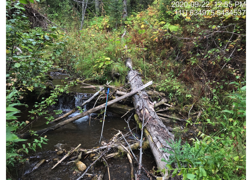 Typical habitat upstream of PSCIS crossing 50155.